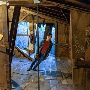 Meet your Posher, Shelley